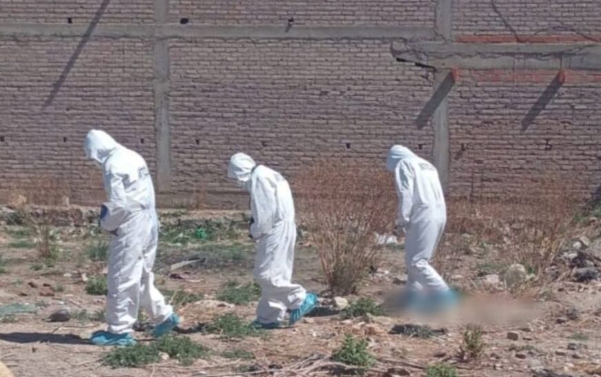 Hallan sin vida a recién nacida abandonada en caja de cartón triste descubrimiento