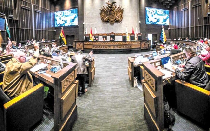 Senado aprueba ley que establece el Día del Hombre el 15 de noviembre