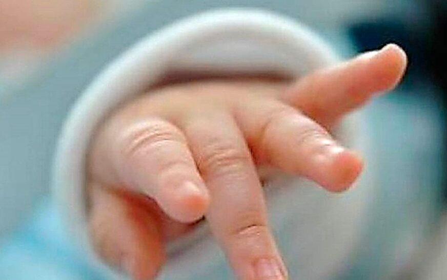 Recién Nacida Hallada Sin Vida Abandonada en Caja de Cartón en Viacha