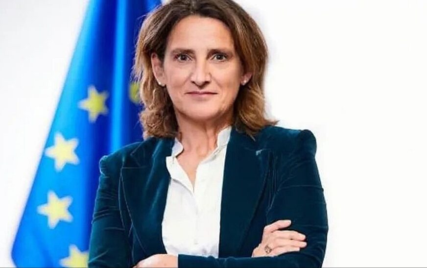 Vicepresidenta Europea llega para transmisión de mando key event