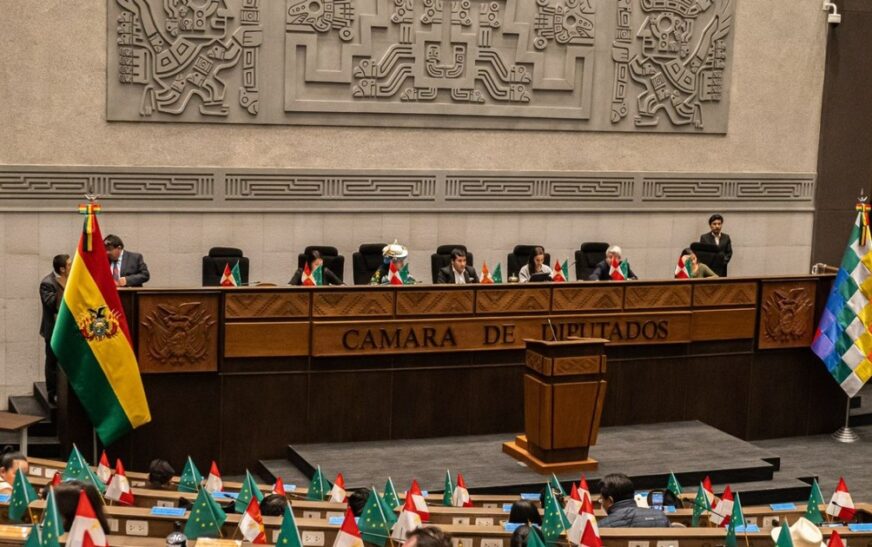 Cámara de Diputados convoca sesión para elegir vocales electorales en Bolivia