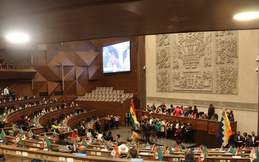 Legislativo prevé elegir vocales del TSE en quince días en Bolivia
