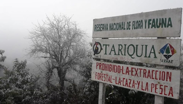 Defensa de Tariquía mantiene vigilia en Tarija y denuncia ingreso de petroleras clandestinas