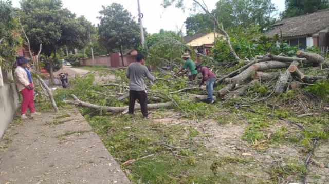 Municipios de Tarija piden apoyo urgente tras daños por fenómenos climáticos