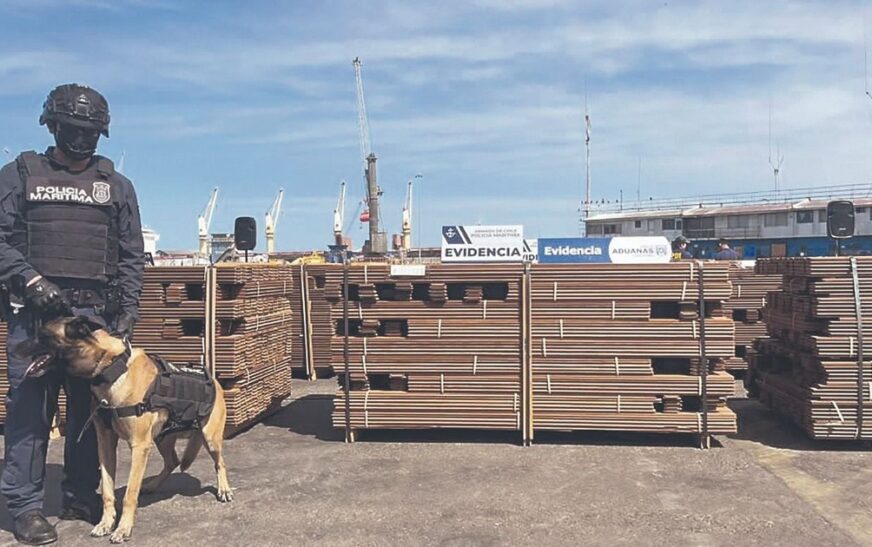 Fiscalía de Bolivia solicita cooperación internacional para investigar tráfico de droga en madera