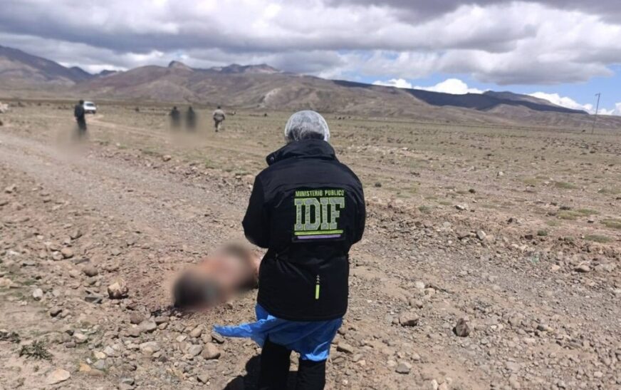 Policía de Santiago confirma hallazgo de dos ciudadanos chilenos torturados y calcinados