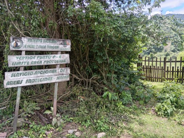 Tribunal Agroambiental ordena paralizar temporalmente proyecto Domo Osso X3 en Bolivia