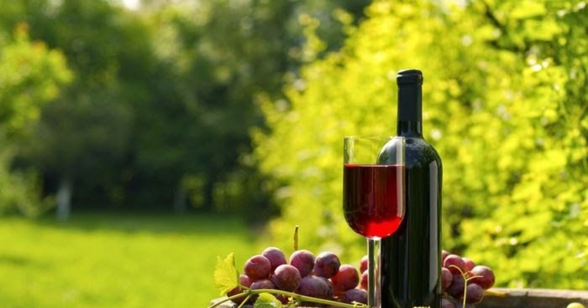 Tarija anuncia como sede el Vinoamérica 2026 para impulsar exportación de vino