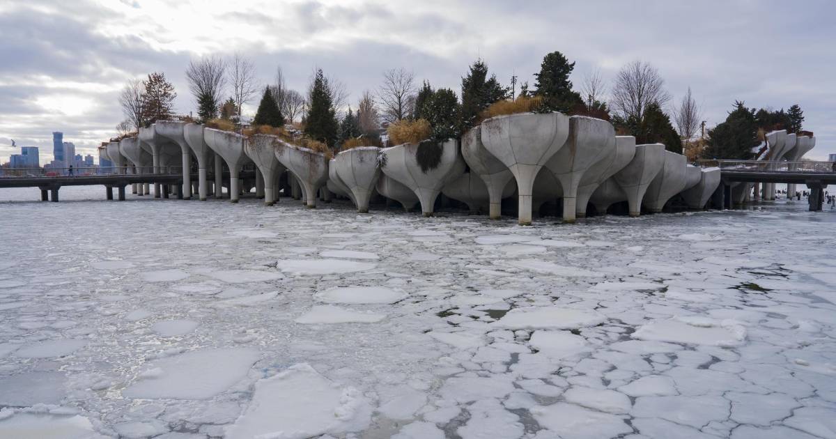 Tormenta invernal en Estados Unidos deja 15 muertos y 800 mil hogares sin luz