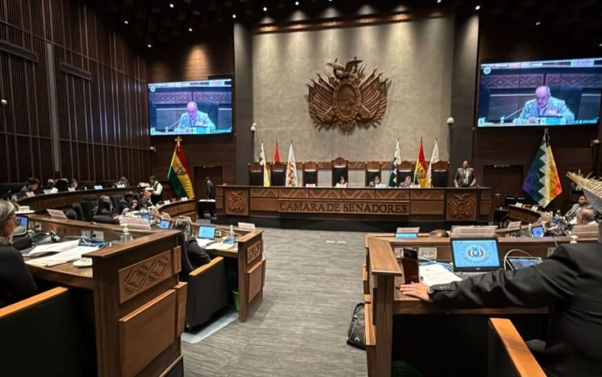 Congreso boliviano presenta proyecto de ley de cielos abiertos y analiza futuro de BoA