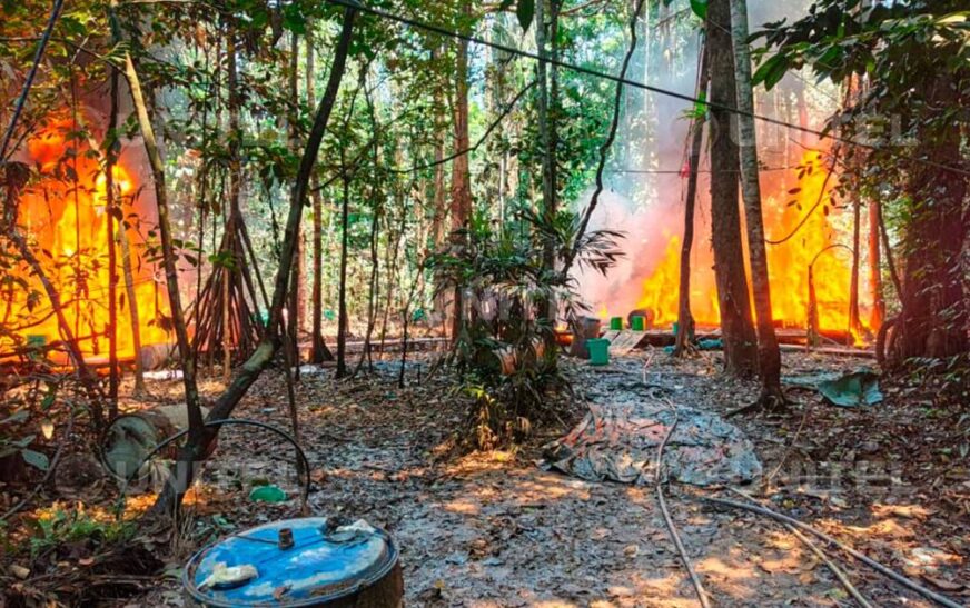 Fuerza antidrogas destruye dos megalaboratorios en trópico de Cochabamba