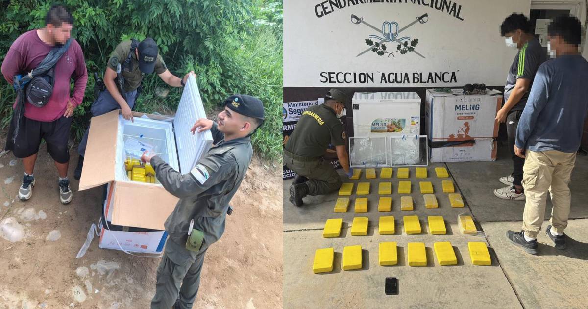 Hombre en frontera Argentina Bolivia transporta cocaína oculta en freezer