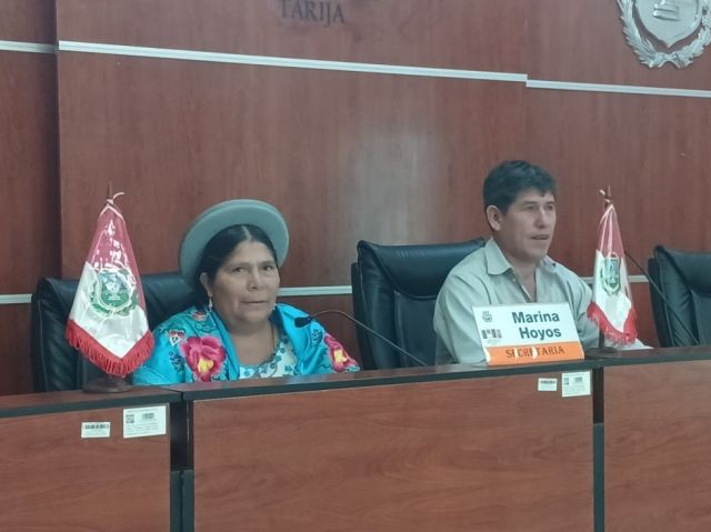 ALDT impulsa reformulado para cubrir desfases económicos en La Paz