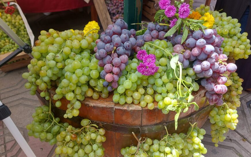 Productores de uva en Bolivia esperan fideicomiso tras crédito externo logrado