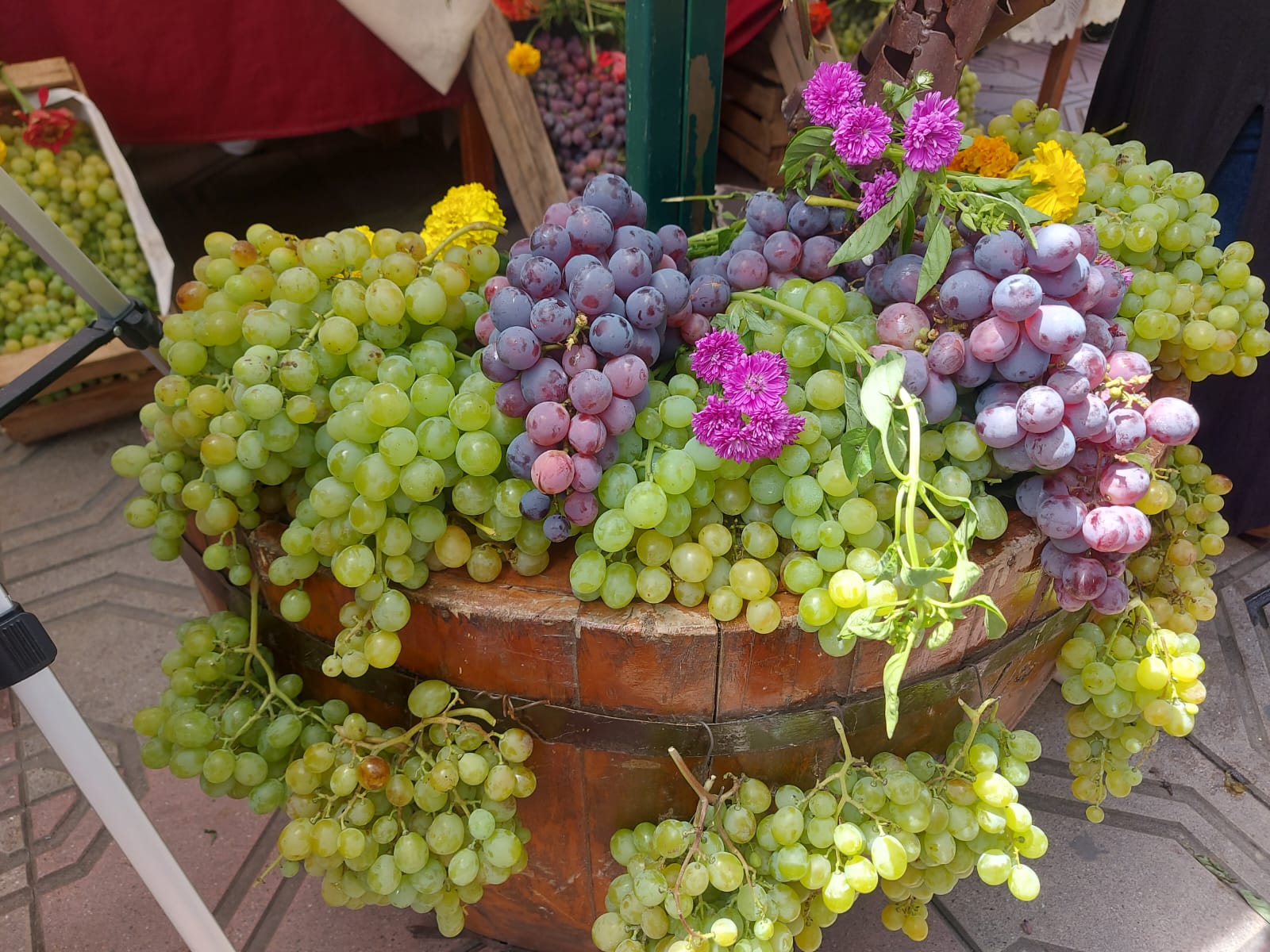 Productores de uva en Bolivia esperan fideicomiso tras crédito externo logrado