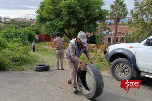 Tarija confirma aumento de casos de chikungunya y alerta a la población