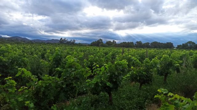 Chaco tarijeño impulsa carnaval con ola de calor mientras valles enfrentan lluvias