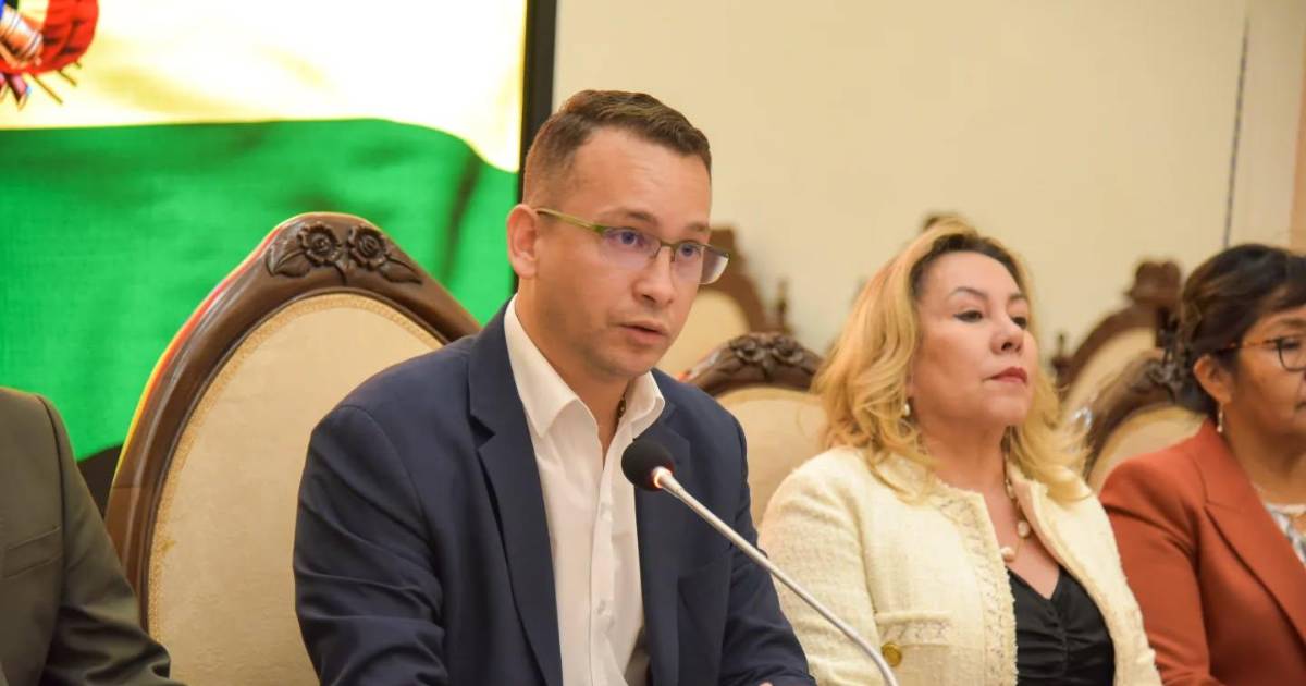 Presidente del TSJ advierte sobre distribución 50 50 propuesta por viceministra Barrientos en Bolivia