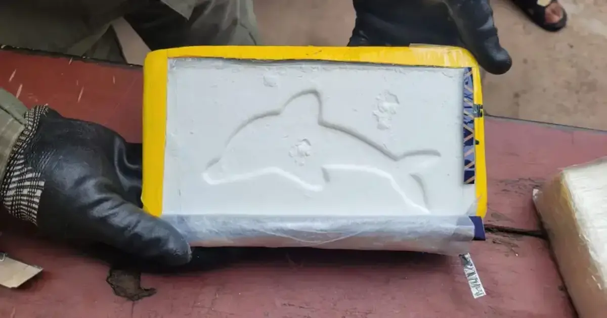 Argentina aprehende a boliviano con más de 10 kilos de droga en frontera