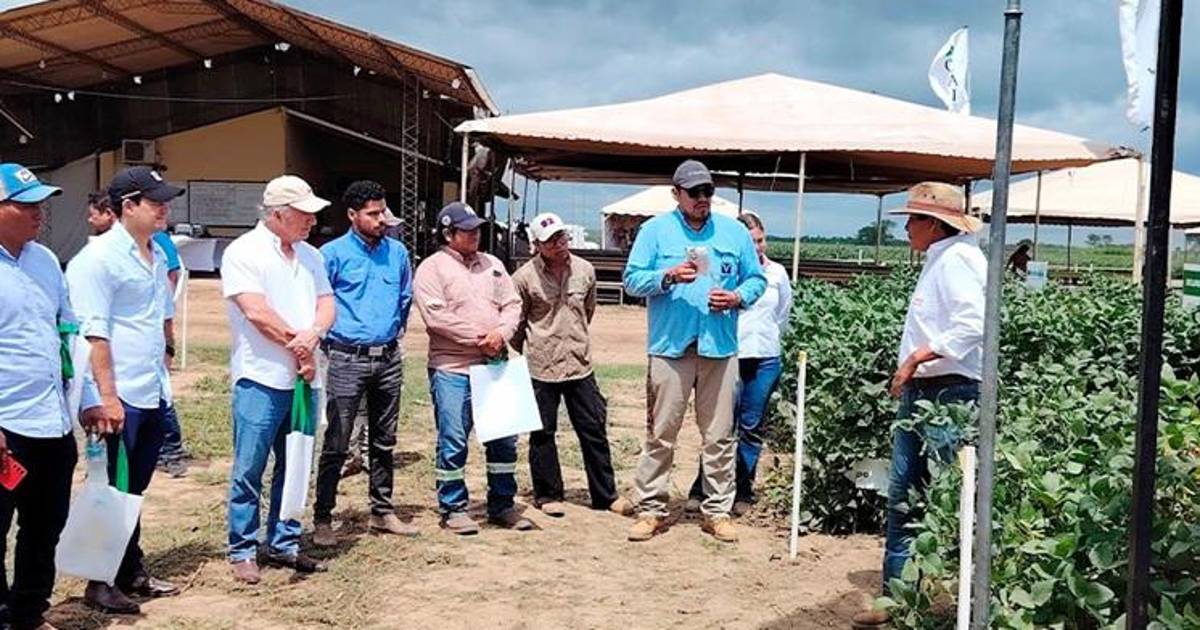 Gobierno de Santa Cruz posterga Exposoya 2026 para marzo por clima adverso