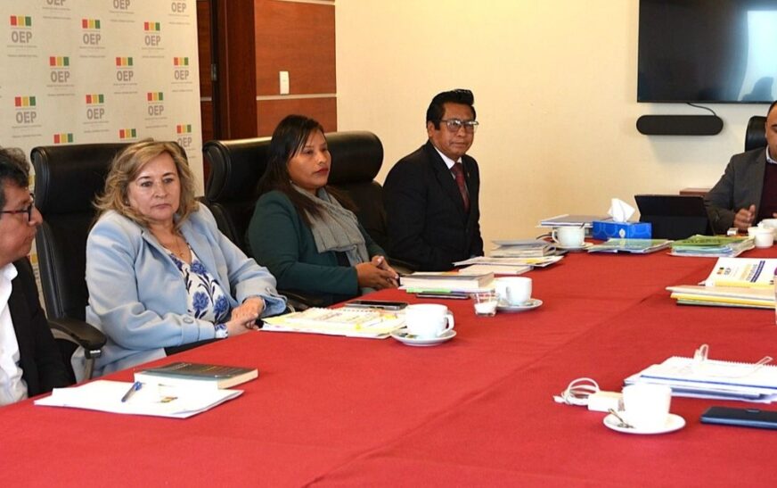 TSE confirma que notificaciones de inhabilitación cumplieron plazos legales en Bolivia