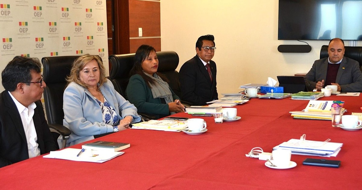 TSE confirma que notificaciones de inhabilitación cumplieron plazos legales en Bolivia