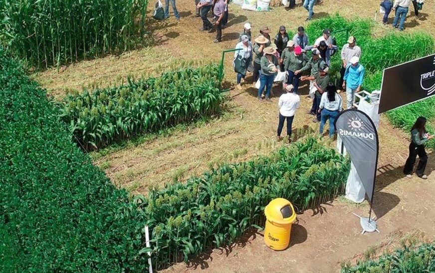 Exposoya en Santa Cruz inicia este viernes y revela nuevas variedades de soya y cultivos
