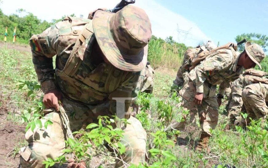 Viceministro Justiniano impulsa equilibrio para preservar coca legal y erradicar la ilegal en Bolivia