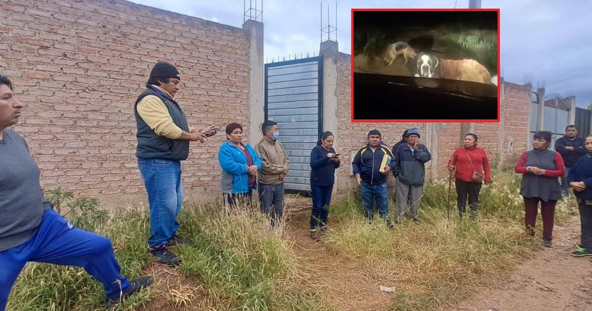Vecinos de barrio Santa Cruz denuncian ataque fatal de perros y piden Zoonosis