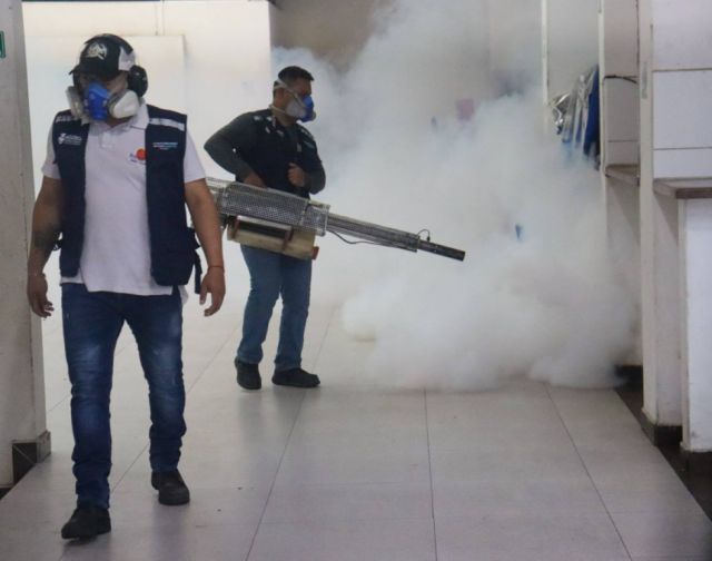 Gobernación del Chaco confirma aumento de casos de dengue y chikungunya en 2024