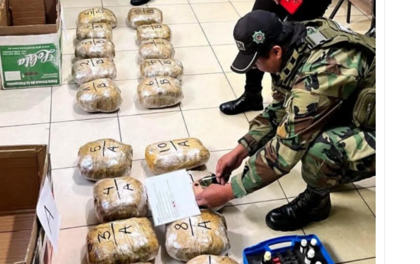 Fiscalía y Policía incautan más de 500 kilos de marihuana en operativos en Bolivia