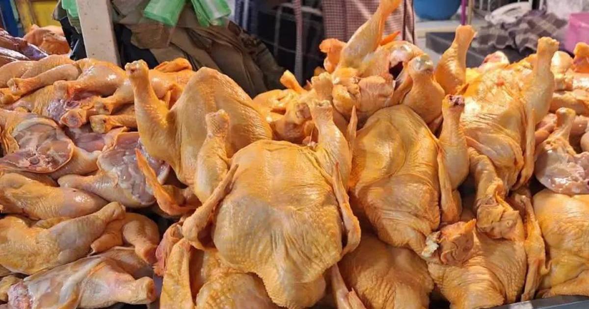 Mercados de Santa Cruz registran aumento del kilo de pollo a Bs 19 50