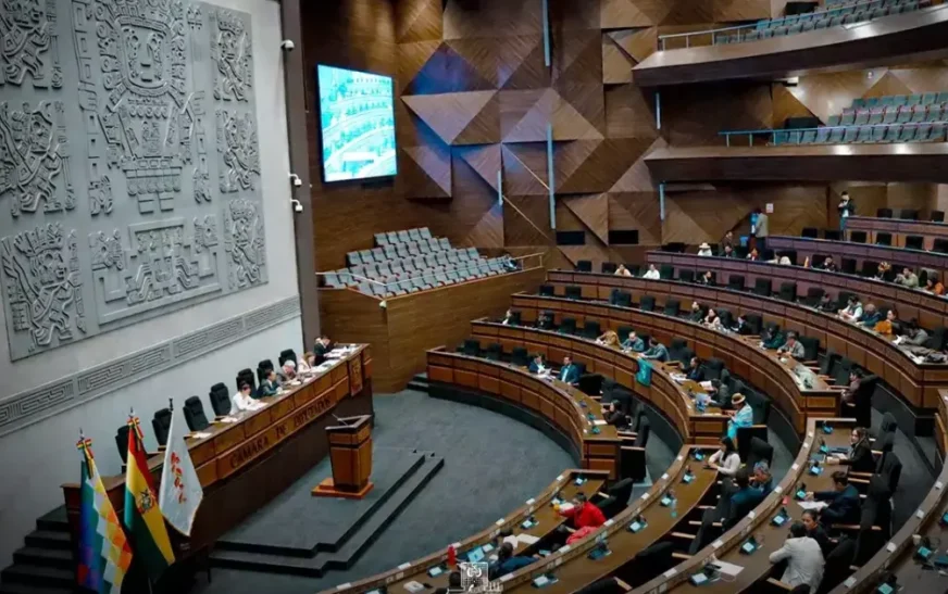 Diputados sanciona proyecto que convierte pequeña propiedad titulada en propiedad mediana en Bolivia