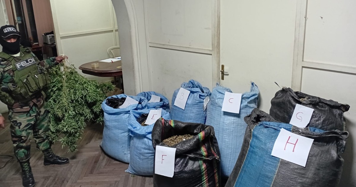 Intervienen inmueble en Cochabamba y incautan 200 kilos de marihuana