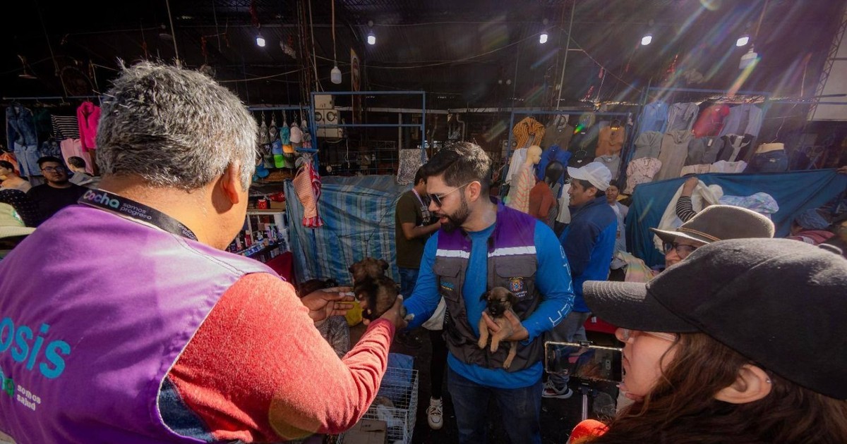 Autoridades detienen venta ambulante de mascotas en Cochabamba y advierten riesgo de rabia para la salud pública.