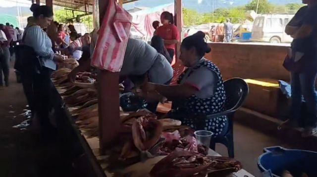 Mercado Campesino de Villa Montes recibe gran llegada de pescado sábalo con precios entre 5 y 20 bolivianos