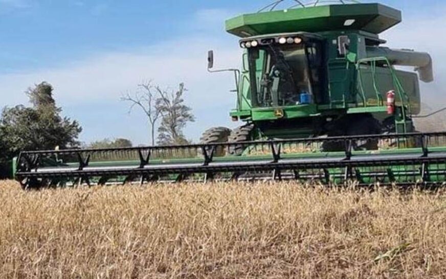 Escasez de diésel obliga a transportistas y productores a pagar hasta Bs 18 por litro en mercado negro