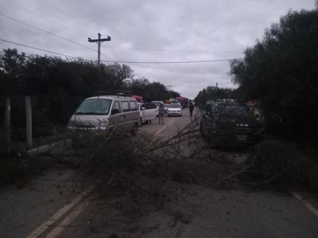 ABC y Ministerio de Obras Públicas llaman a la precaución ante bloqueos en carreteras del sur boliviano