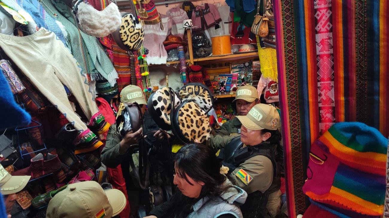 Arrestan a un sospechoso en operativo contra fauna silvestre