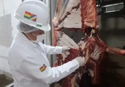 Bolivia redujo su producción de carne de res en 2025