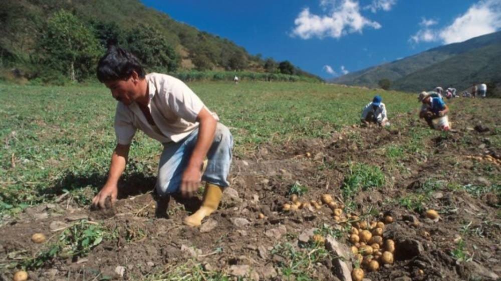 Campesinos de Tarija prevén crisis alimentaria en meses