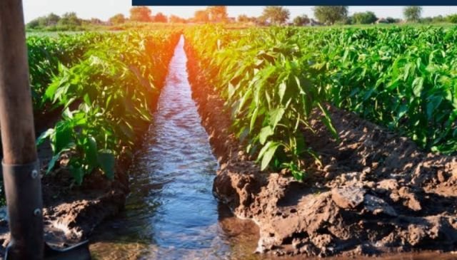 Advierten menor oferta de alimentos por posible sequía en Tarija