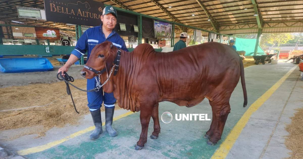 Un tono rojo intenso destaca a Sofía en Expocruz