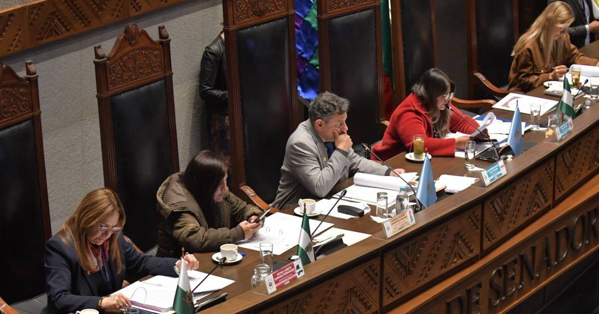 Senado sesiona por crédito del FMI de $us 1.900 millones