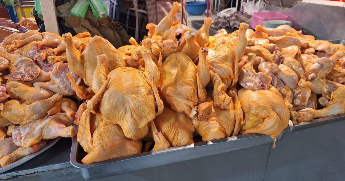 Pollo sube hasta 22,50 bolivianos el kilo en Cochabamba