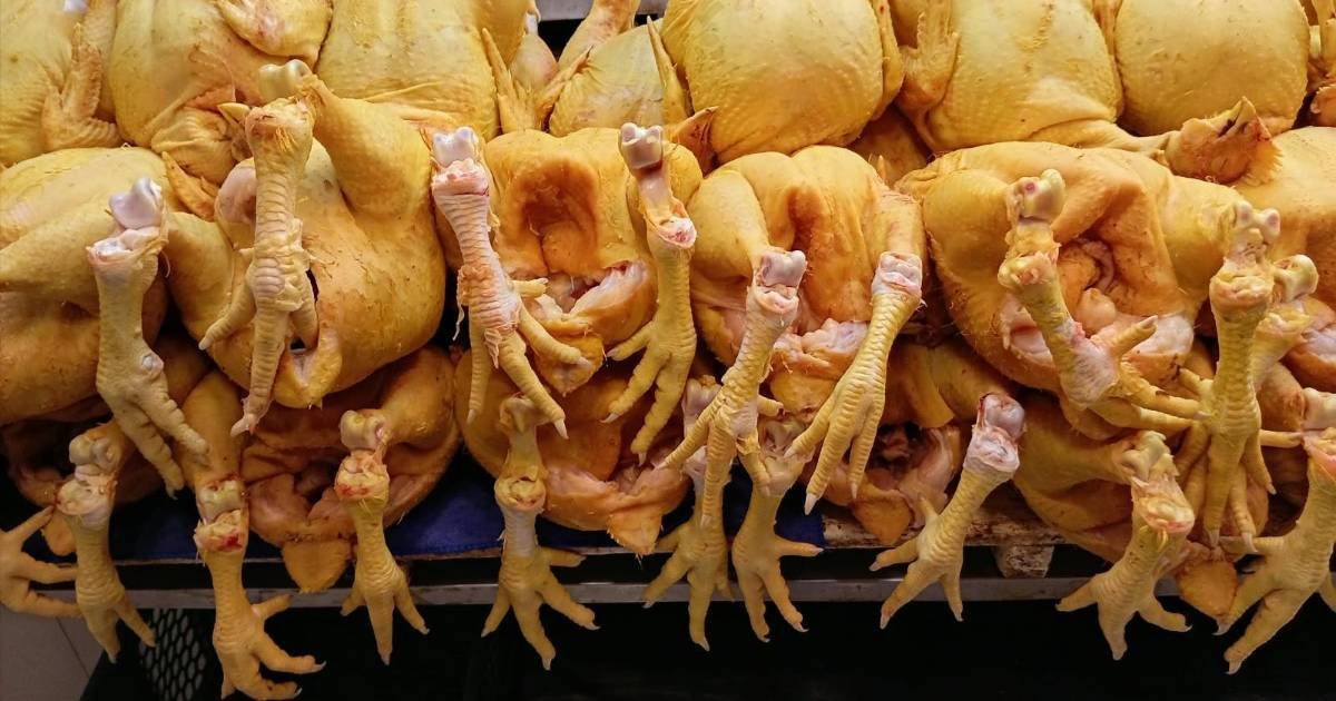 En Abasto, el kilo de pollo se vende a Bs 15.50