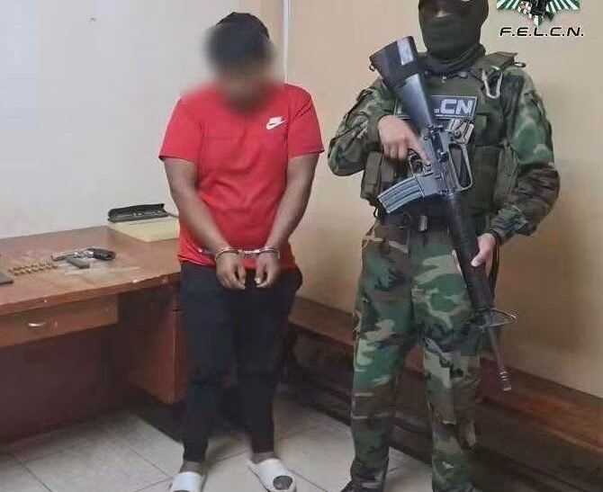 Aprehenden a una persona tras hallazgo de droga y pistola