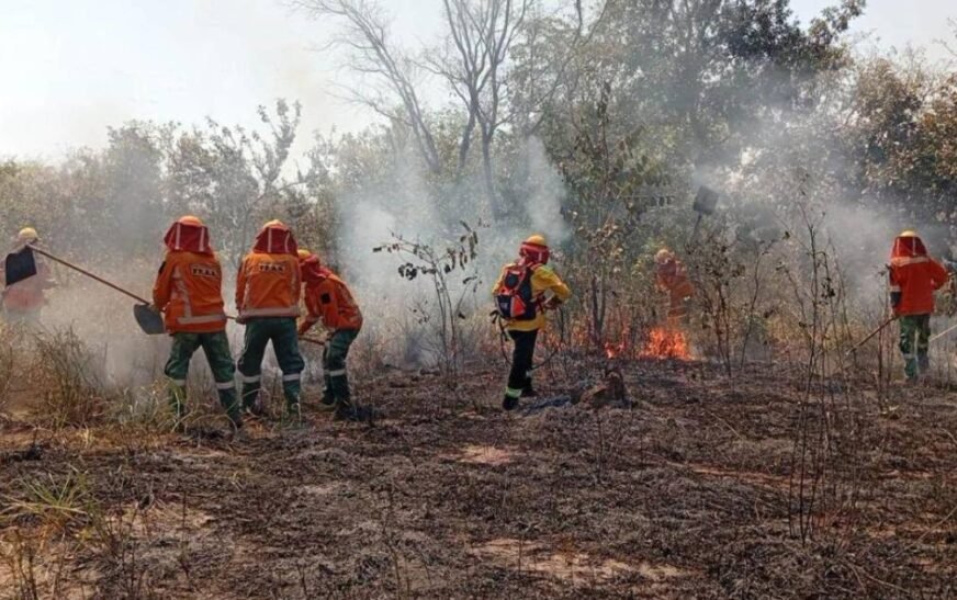 Falta de combustible dificulta respuesta a incendios en Santa Cruz