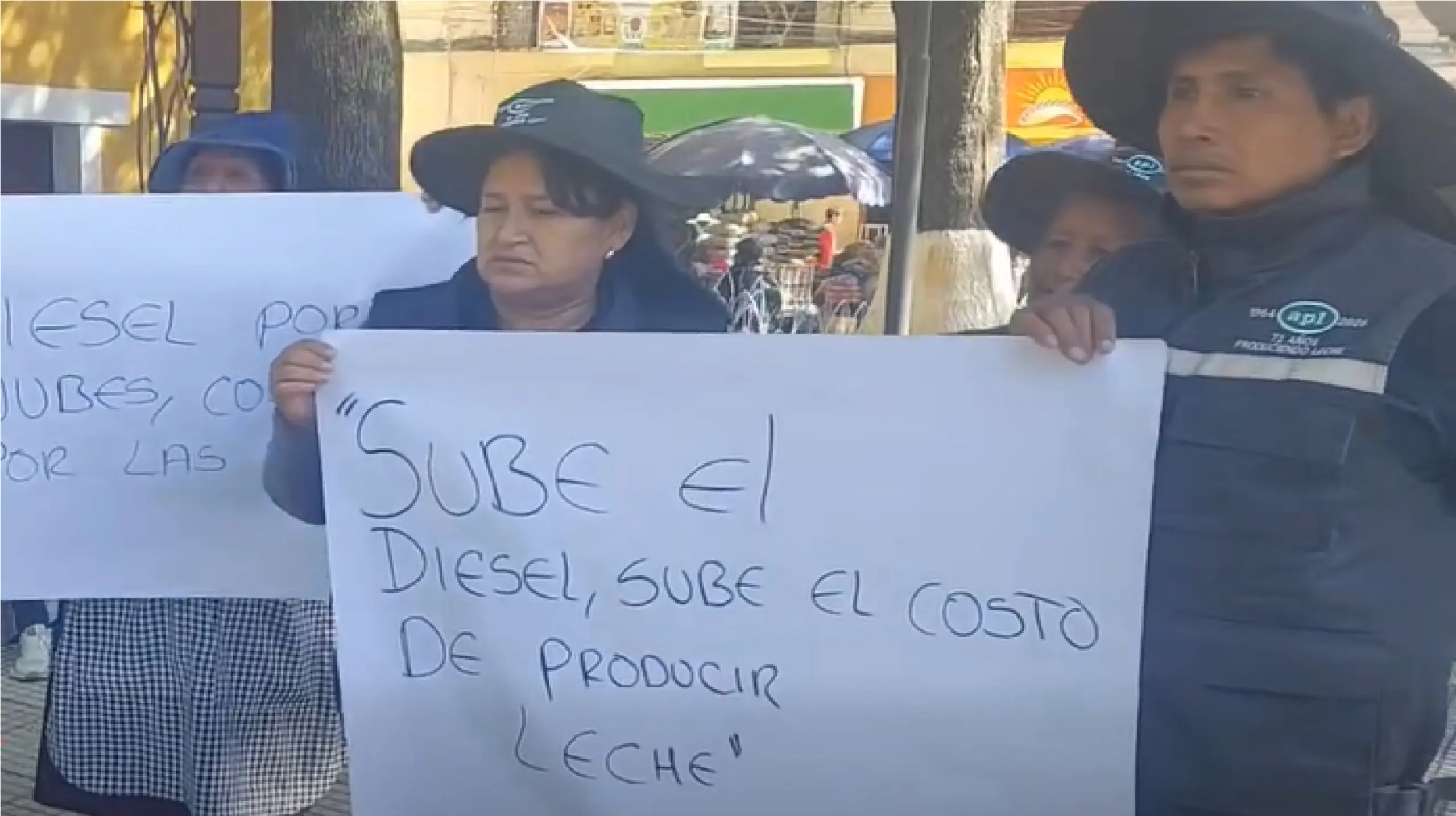 Productores lecheros de Cochabamba piden alza de Bs 2,25