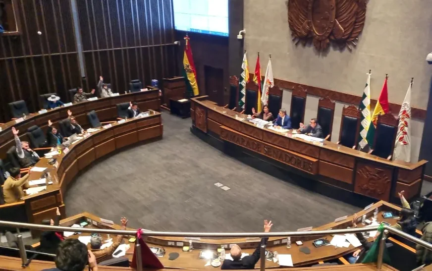 ALP aprueba ley para suspender al Fiscal General